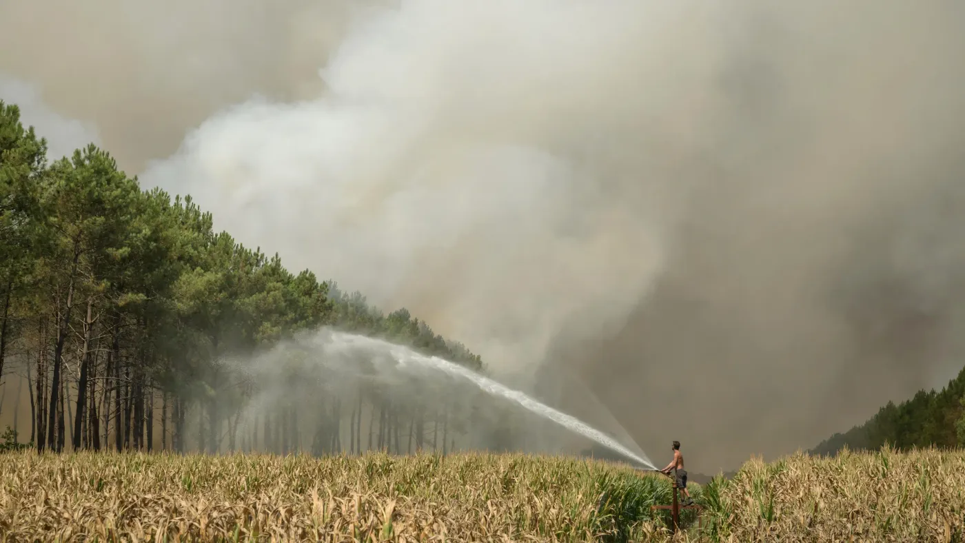 Bordeaux Wildfires Expose the Fragility of Wine Tourism