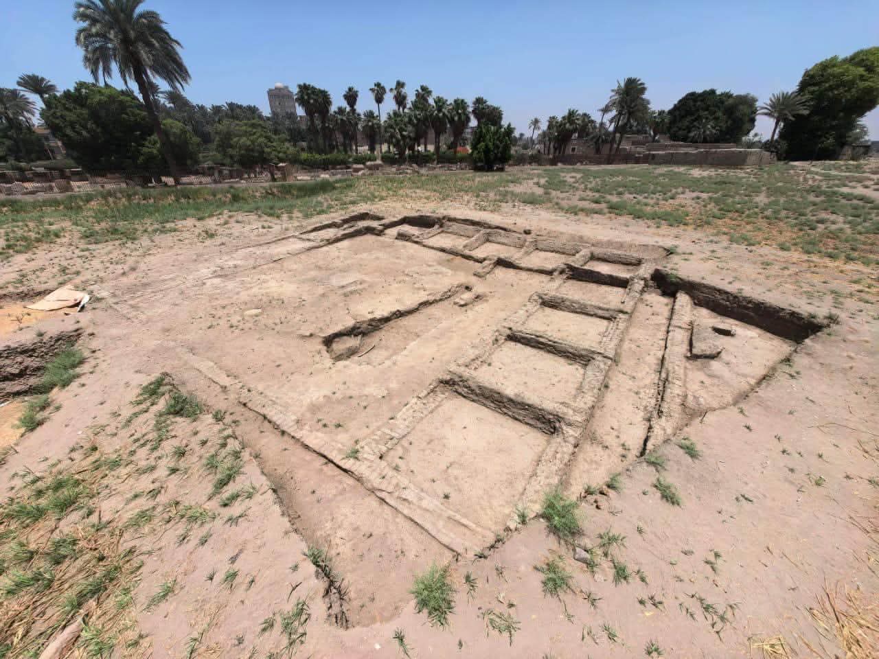 A Possible Wine Press Connects Wine to Daily Life in Ancient Memphis