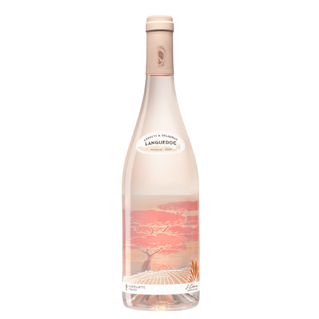 Abbotts & Delaunay Languedoc Rosé 2024