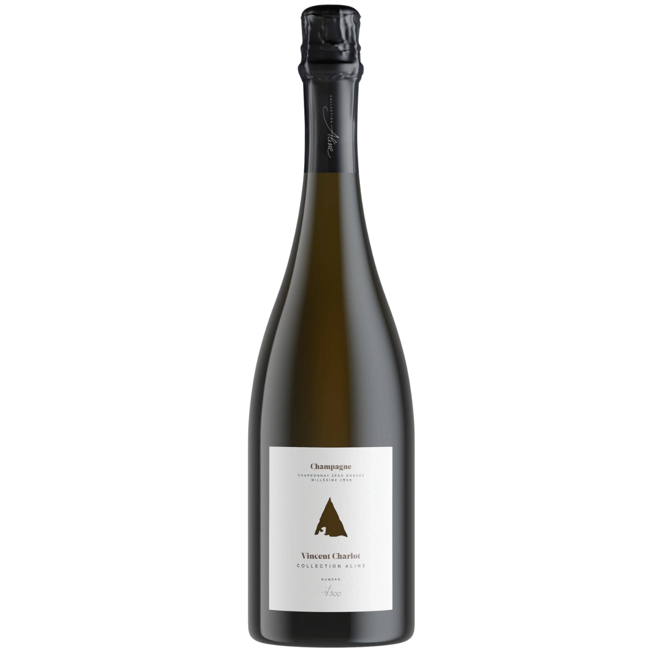 Vincent Charlot Collection Aline Meunier Zéro Dosage 2015