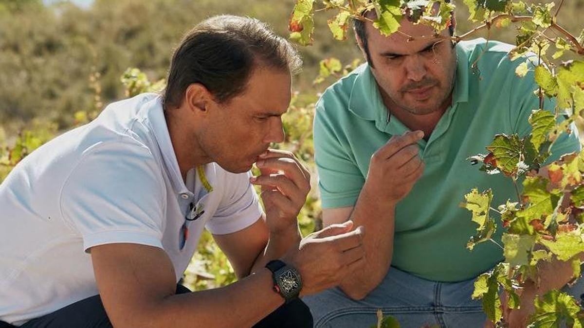 Rafa Nadal Enters Wine with El Tenista