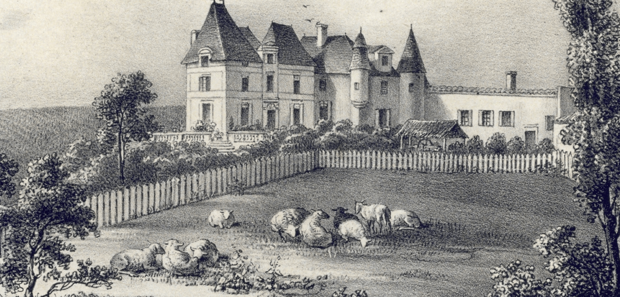What Haut-Brion Chooses to Remember