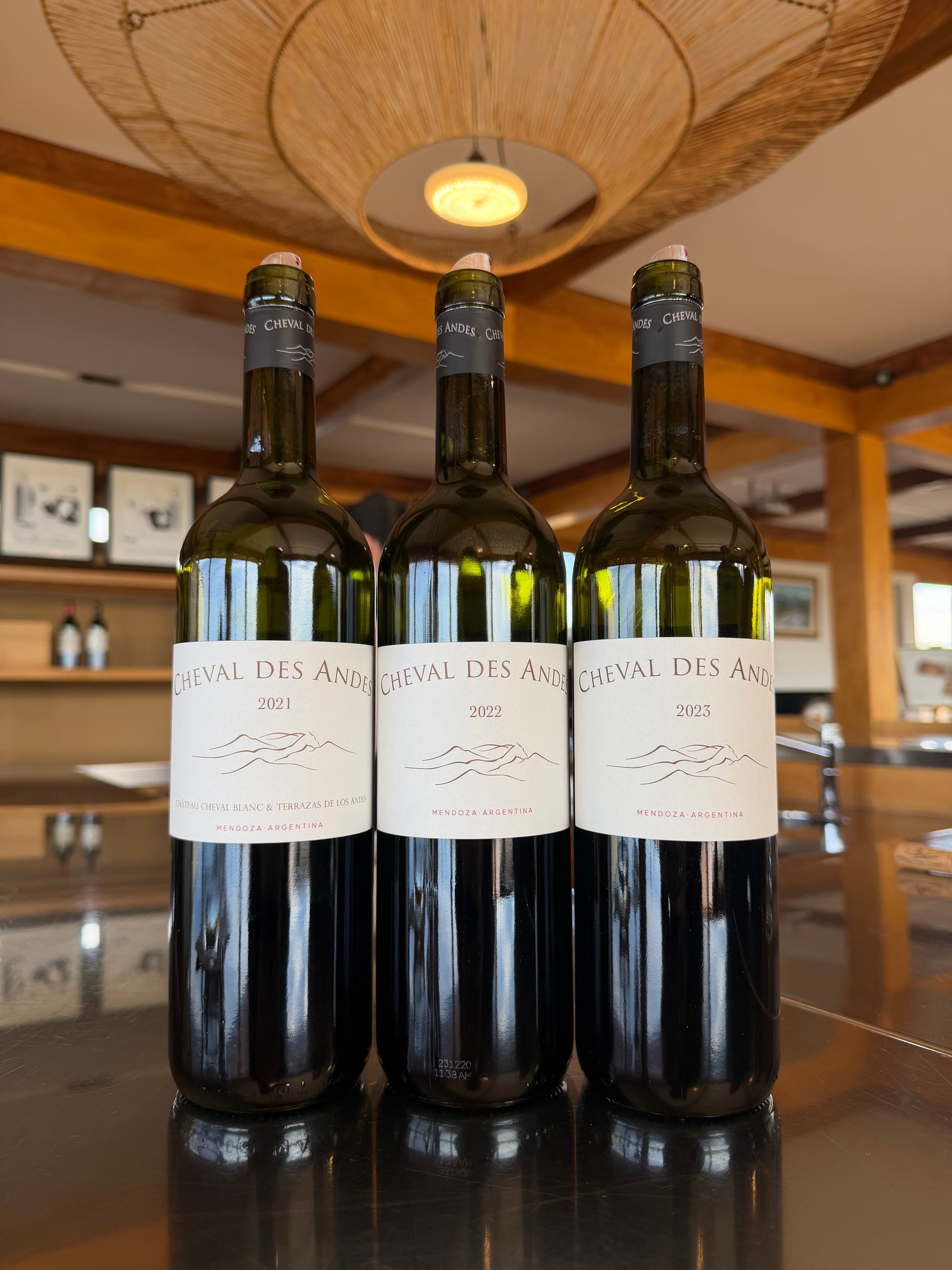 Cheval des Andes: A Piece of France at the Foot of the Andes