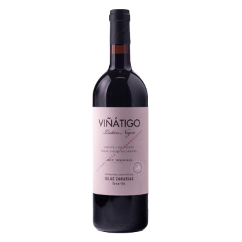 Viñátigo Listán Negro 2025